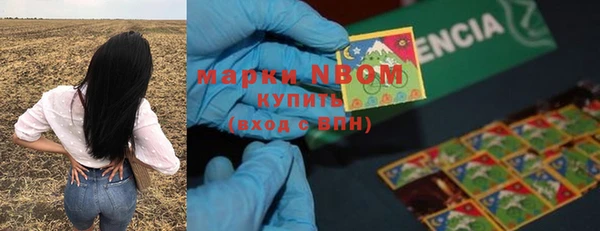 крисы Михайлов