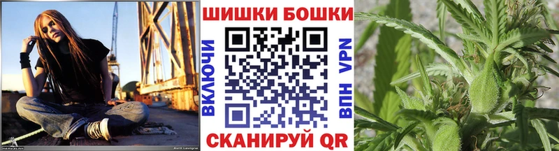 где купить наркоту  Черноголовка  Шишки марихуана индика 